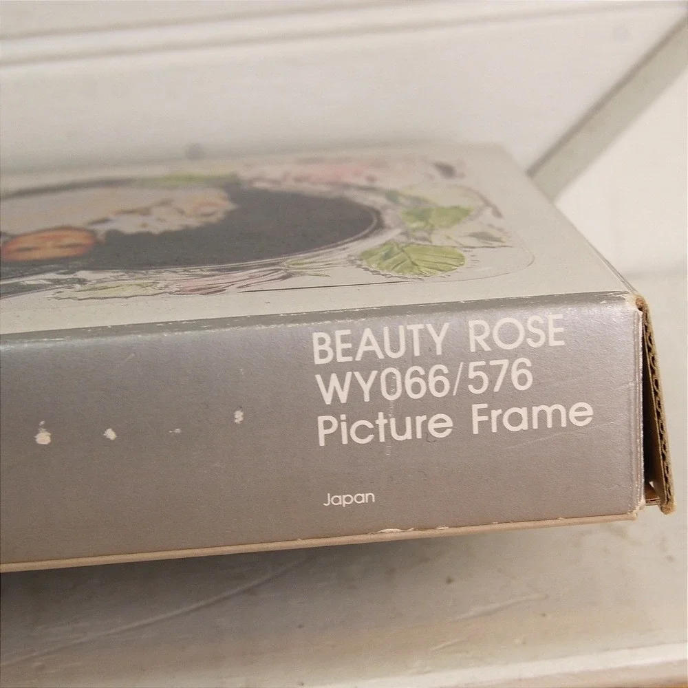 Vintage Glass Picture frame NWT Studio Nova Etched painted roses‎ 4x6 Home Decor